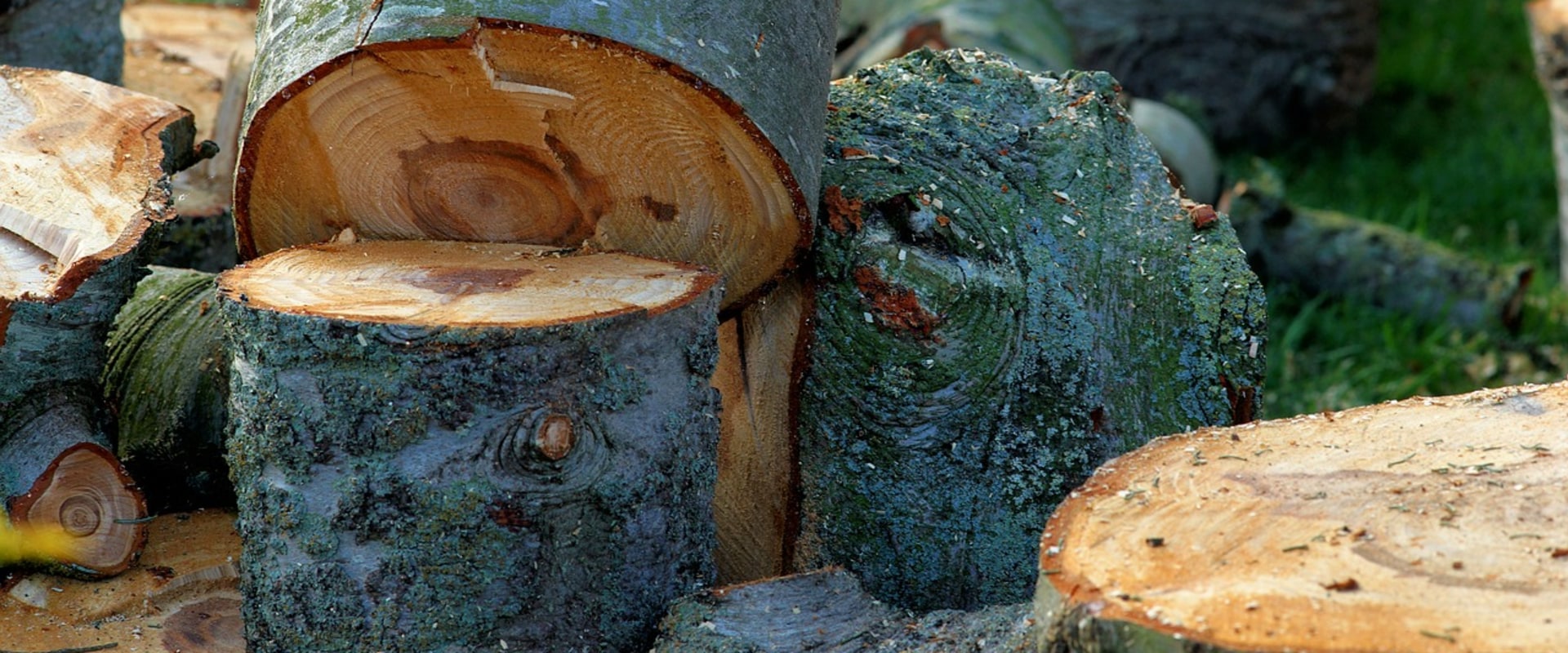 What happens to the ground after a large tree is removed?