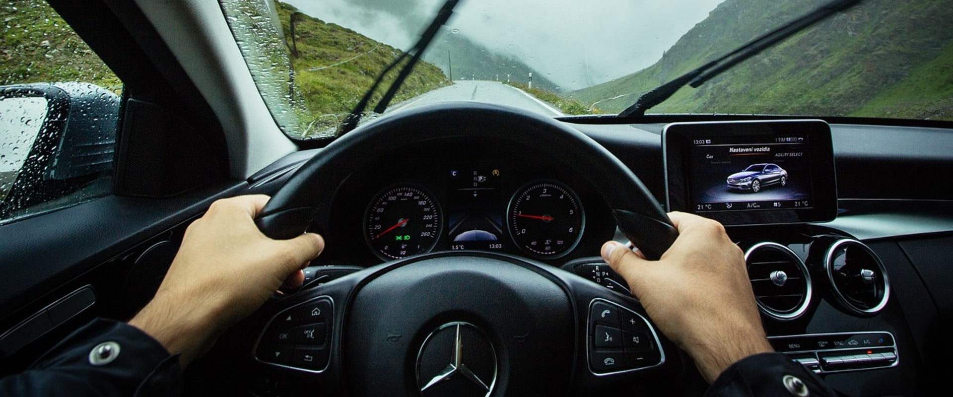 Understanding Crane Tree Removal in Lakeway, TX