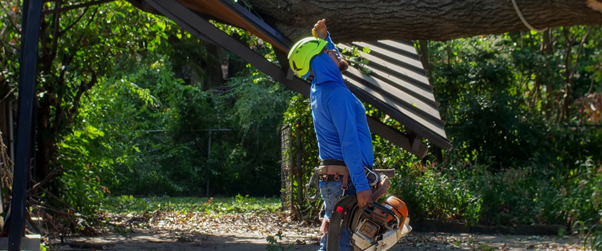 When to Schedule Crane Tree Removal During a Home Move