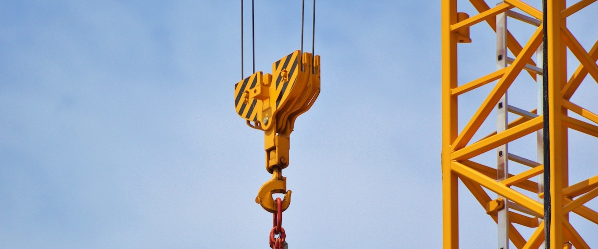 Why Small Crane Hire Is The Perfect Solution For Tree Removal On The Sunshine Coast