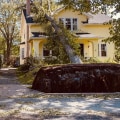 Can trees break a house?