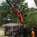 Crane removal of tree?