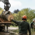 How Transportation Logistics Can Affect the Efficiency of Tree Removal Work