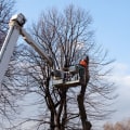 Reaching New Heights: How Crane Tree Removal Safely Handles the Toughest Jobs