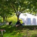 How do you keep a tree healthy?