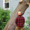 What do you call a person who cuts down trees?