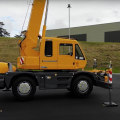 Why Small Crane Hire Is The Perfect Solution For Tree Removal On The Sunshine Coast
