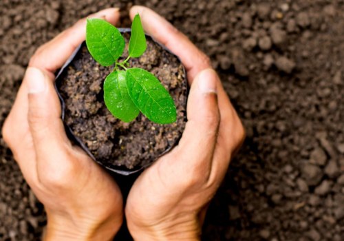 Do you need to take care of trees?