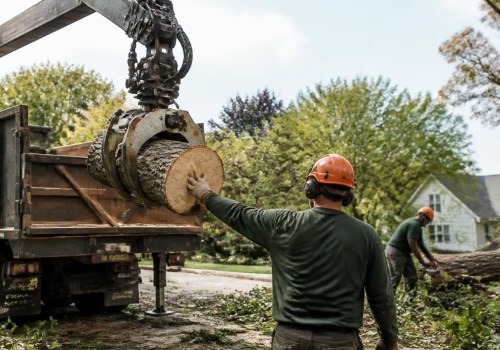 How Transportation Logistics Can Affect the Efficiency of Tree Removal Work