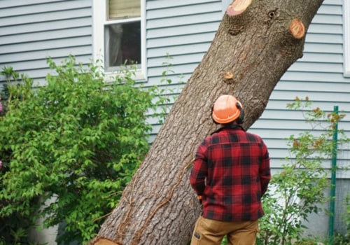 What do you call a person who cuts down trees?
