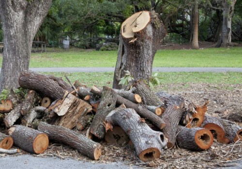 Why remove trees?