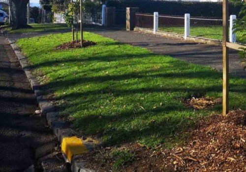 How close can a tree be next to a house?